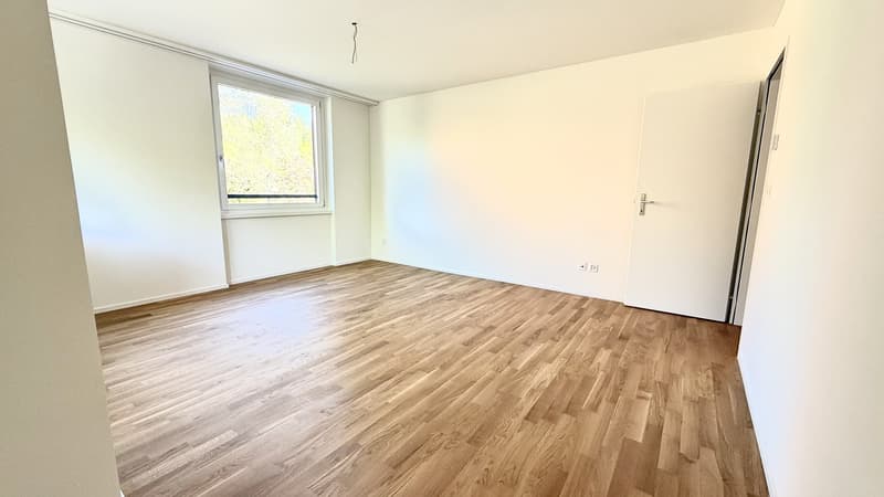 Platz für die ganze Familie 4.5 Zimmer mit zwei Balkonen im Brünnlipark (7)
