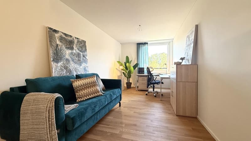 Aussergewöhnliche 3.5 Zimmer-Wohnung mit 115 m² erstmals zu vermieten (12)