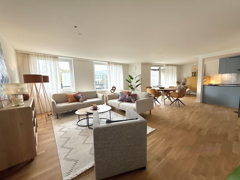 Aussergewöhnliche 3.5 Zimmer-Wohnung mit 115 m² erstmals zu vermieten (5)