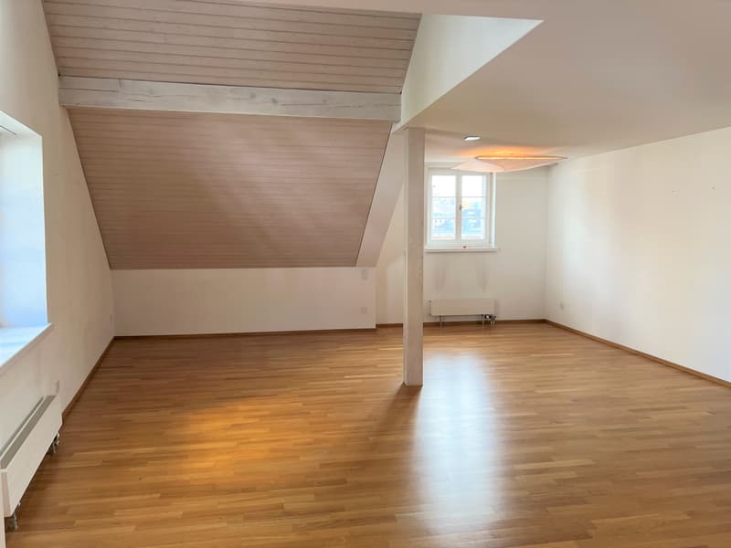 3-Zimmer Duplex Wohnung mit Blick über Zürich (ca. 100m2) (2)
