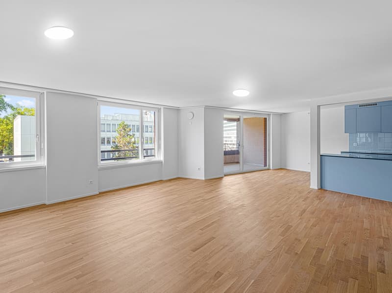 Ein renoviertes Zuhause, 6 Minuten zum Flughafen Opfikon Ein renoviertes Zuhause, 6 Minuten zum Flughafen Opfikon