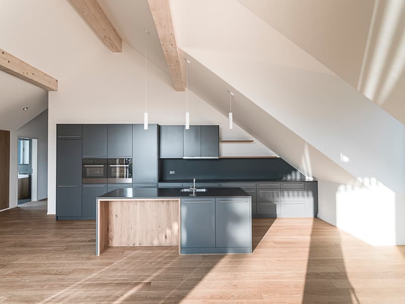 Grosszügige 3.5-Zimmer-Dachwohnung am Opfiker Plateau (2)