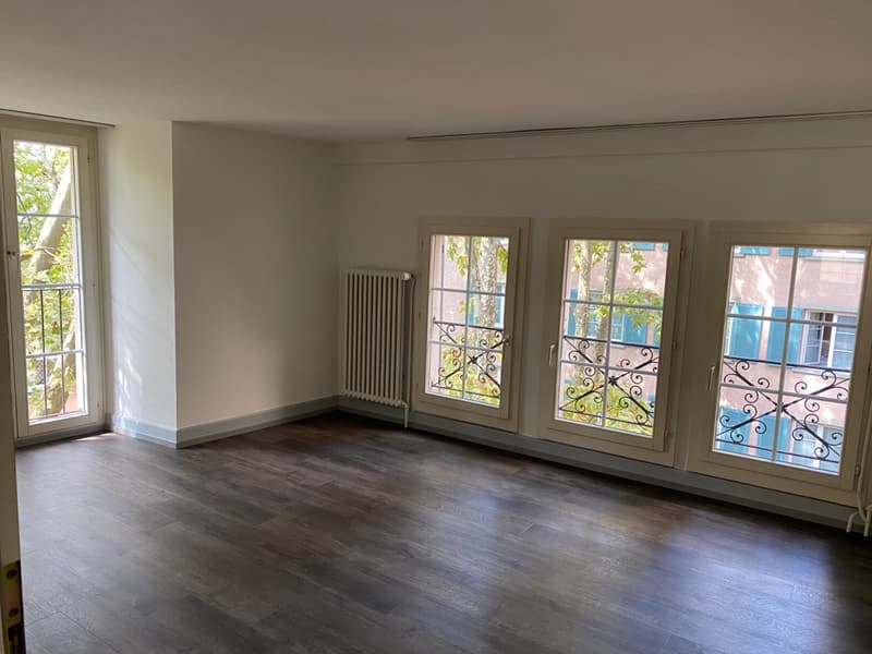 Wohnvergnügen im Herzen der Altstadt (ca. 44m2) (3)