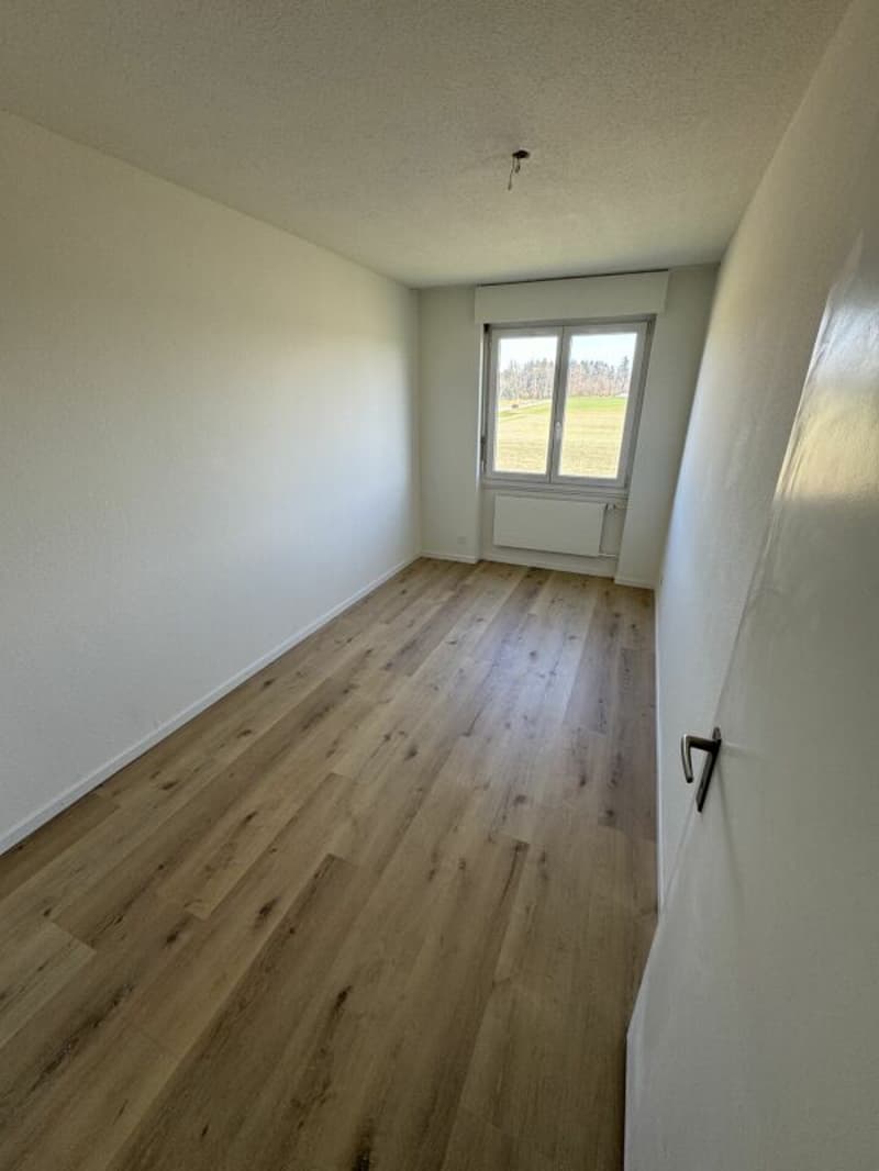 Zimmer 1
