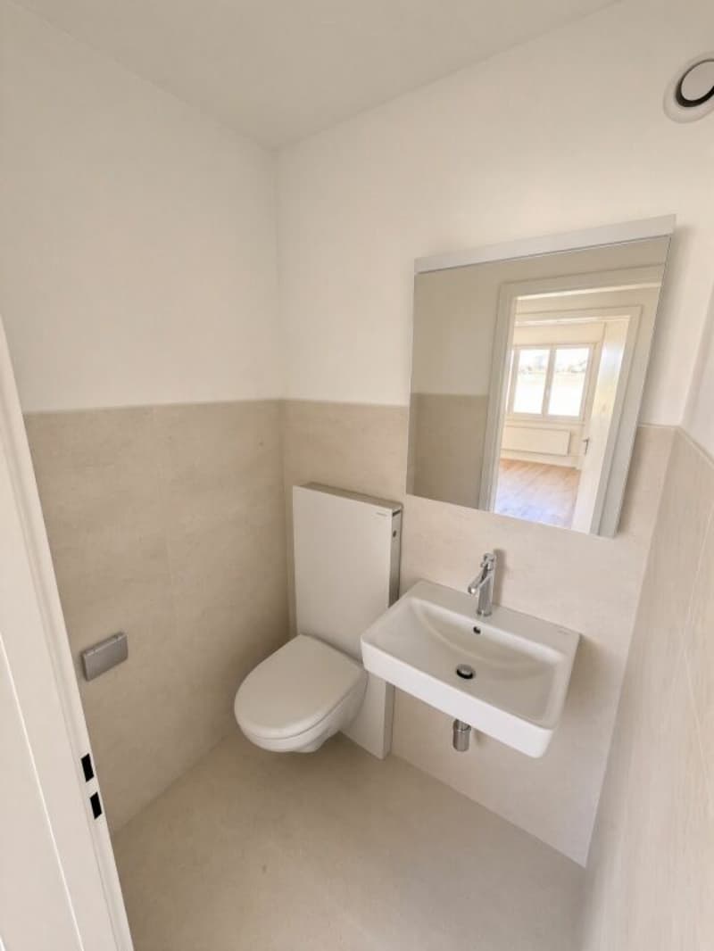 WC (Visualisiert)