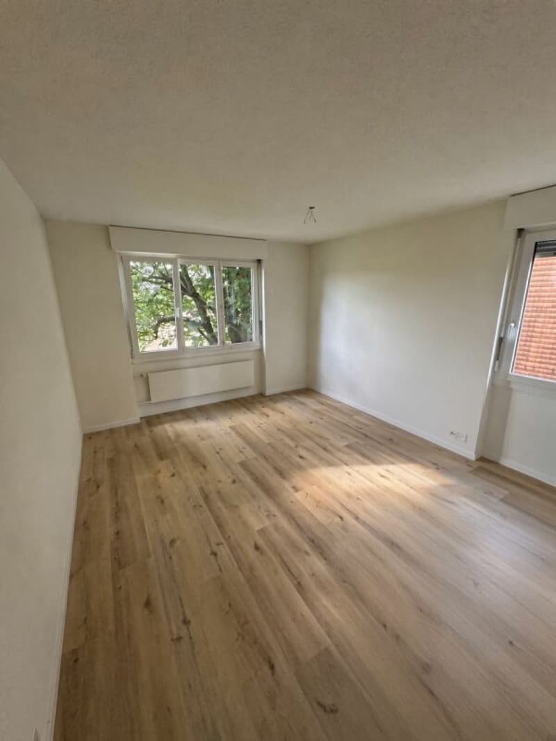 Zimmer (gross)