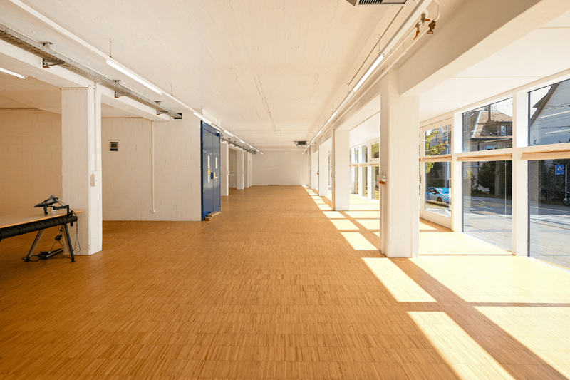 Wooden floor, white walls, long corridor, fluorescent ceiling lights, blue door, glass windows with sun shadows