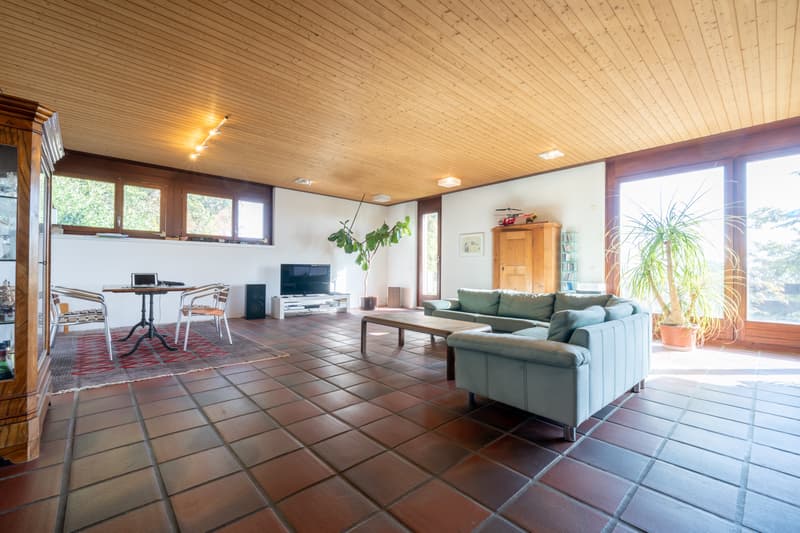 Rustic Villa with Alpine View (3)
