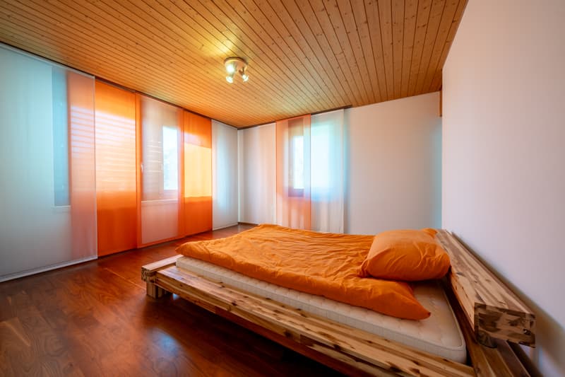 Rustic Villa with Alpine View (7)