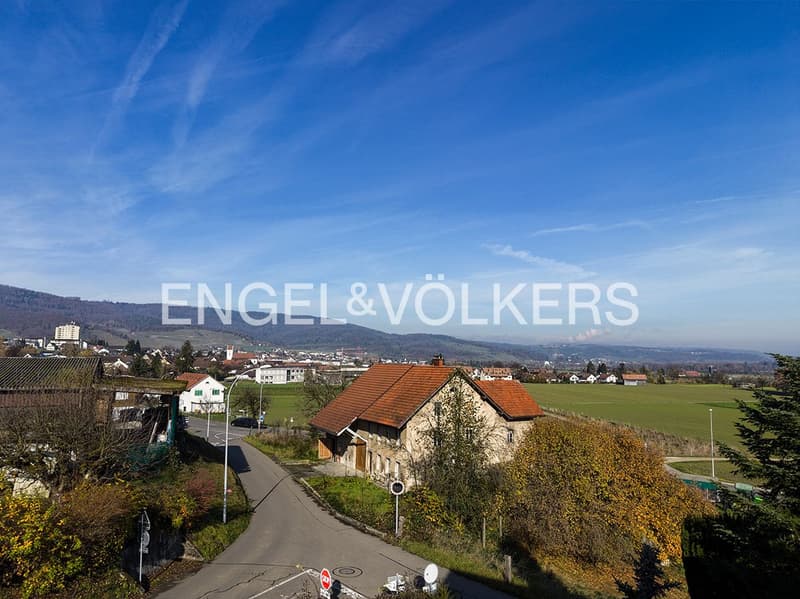 Exklusive und bewilligte Arealüberbauung (3)