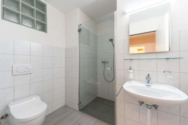 Helle 4.5 Zimmer Wohnung an zentraler Lage (6)
