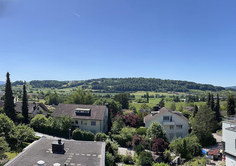 Neubau: Exklusive Doppelhaushälfte an bester Lage in Wettswil am Albis (5)