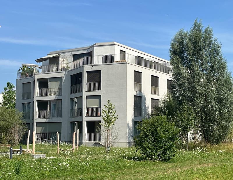 Topmoderne 2.5-Attikawohnung mit Panoramaterrasse und Weitsicht in zen (2)