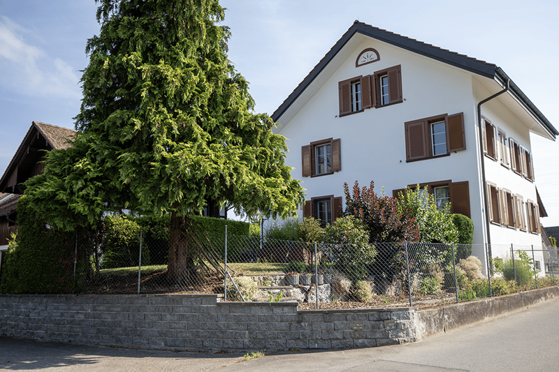 Charmantes 7.5-Zimmer-Bauernhaus (2)