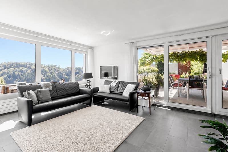 Stilvolle Attika-Terrassenwohnung mit Panoramasicht (2)