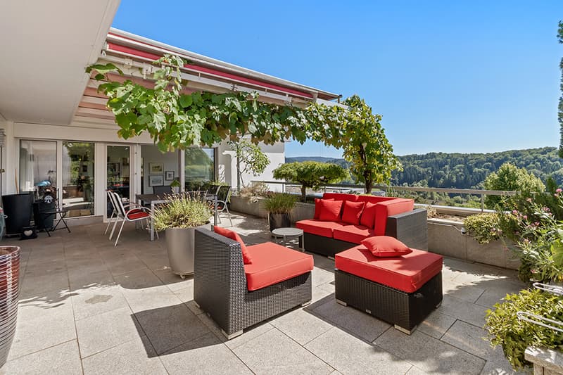 Stilvolle Attika-Terrassenwohnung mit Panoramasicht (1)