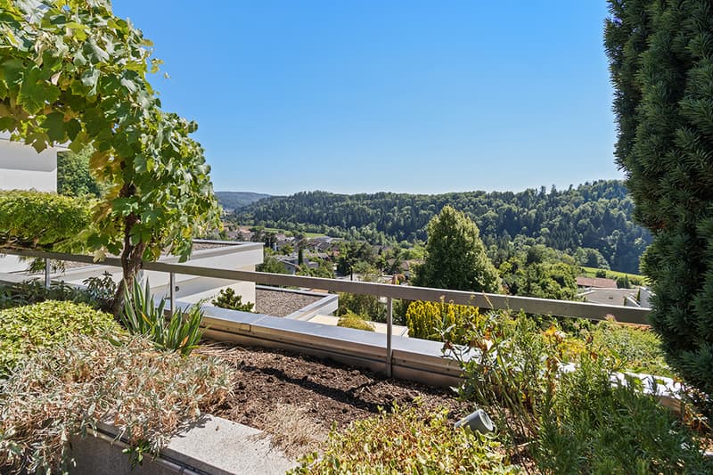 Stilvolle Attika-Terrassenwohnung mit Panoramasicht (9)