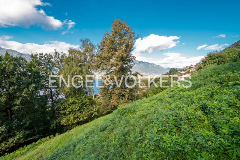 Idyllisches Grundstu?ck mit Blick auf den Lago Maggiore (1) (4)