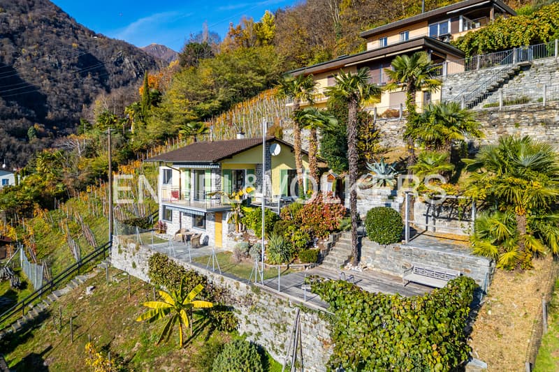 Un posto privilegiato al sole in Ticino (16) (2)