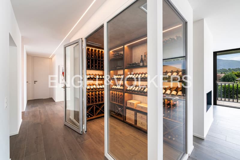 Premium-Penthouse nahe Ascona & Golf (36) (6)