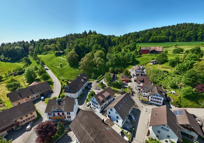 Charaktervoller Riegelbau mit zwei Wohneinheiten modern interpretiert! (1)