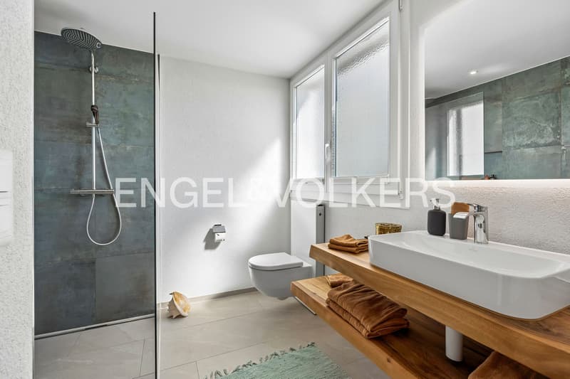 Alpenblick inklusive - grosszügiges Terrassenhaus mit vielseitigem Rau (5)
