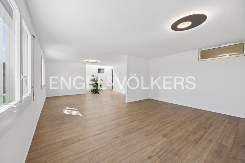 Alpenblick inklusive - grosszügiges Terrassenhaus mit vielseitigem Rau (8)