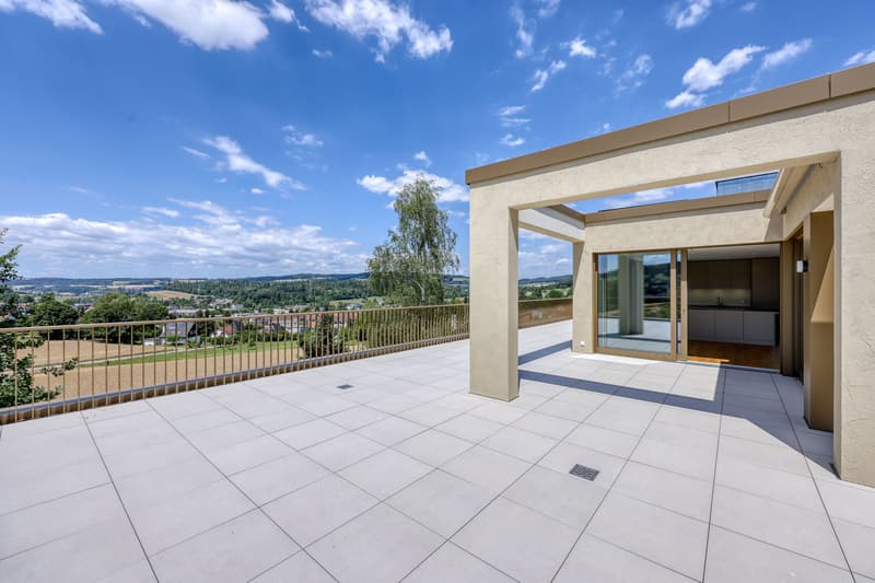 Erstbezug: Exklusive Attika-Maisonette mit grosser Panoramaterrasse (1)