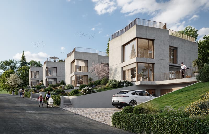 Haus C - Neubauprojekt: Quartett am Dürrberg (Premium) (2)