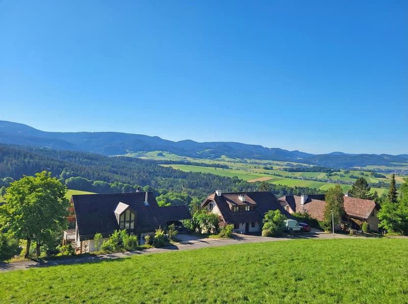 Viel Raum für Leben, Arbeiten und Kreativität (8)