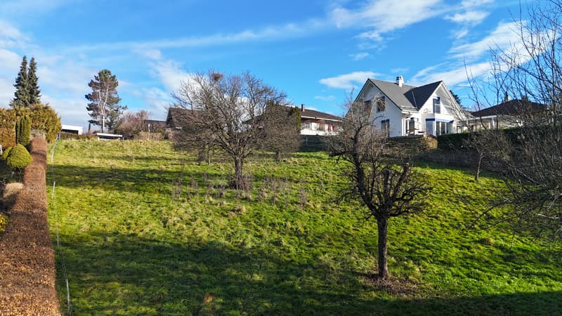 2'972 m² grosses Bauland mit Bauernhaus (2)