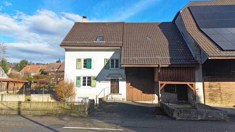 Bauernhaus mit grosser Baulandreserve (11)