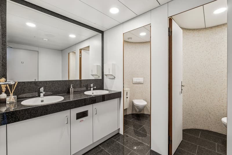 modern style, 2 wash basins, mirror, cabinets, white walls, modern tiles, toilet, toilet paper holder