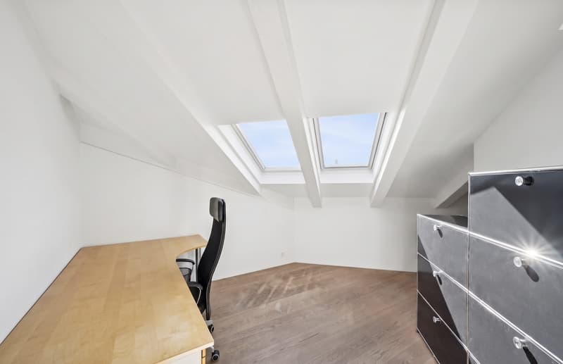 Exklusive Dachwohnung mit Studio & seltenem Parkangebot (7)