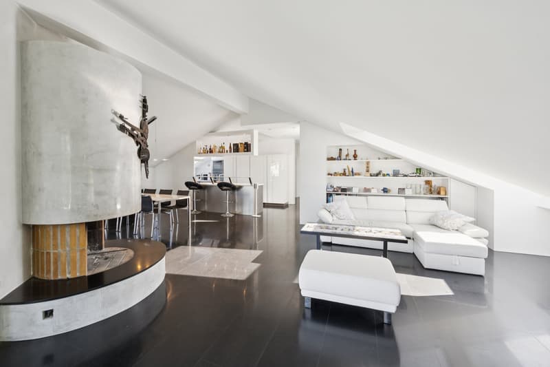 Exklusive Dachwohnung mit Studio & seltenem Parkangebot (3)