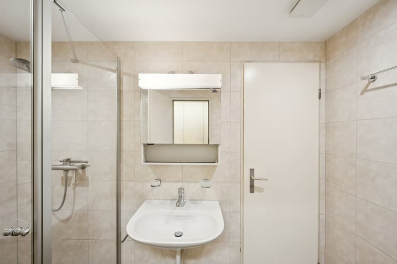 Exklusive Dachwohnung mit Studio & seltenem Parkangebot (10)