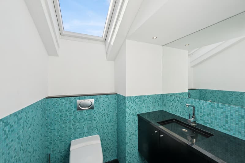 Exklusive Dachwohnung mit Studio & seltenem Parkangebot (8)