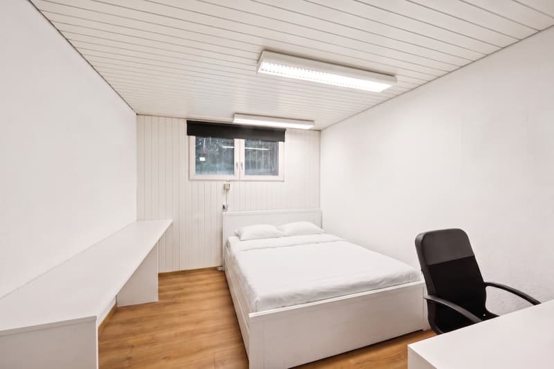Exklusive Dachwohnung mit Studio & seltenem Parkangebot (9)