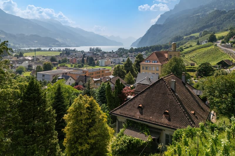Stadtvilla mit Seeblick & Alpenpanorama an einzigartiger Alleinlage (7)