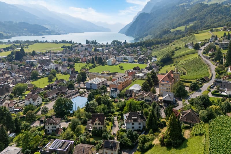 Stadtvilla mit Seeblick & Alpenpanorama an einzigartiger Alleinlage (5)