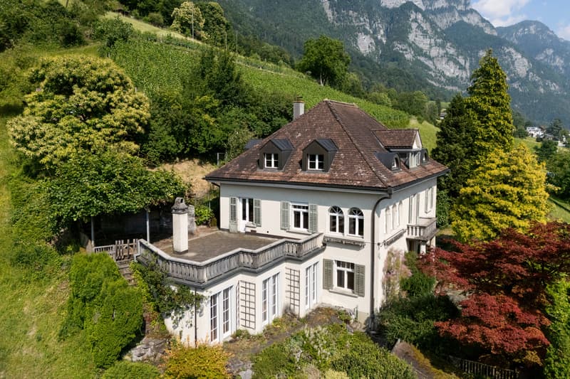 Stadtvilla mit Seeblick & Alpenpanorama an einzigartiger Alleinlage (8)