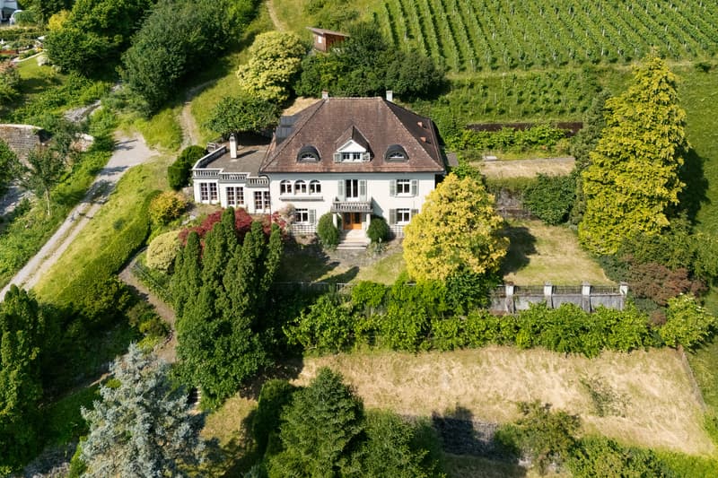 Stadtvilla mit Seeblick & Alpenpanorama an einzigartiger Alleinlage (6)