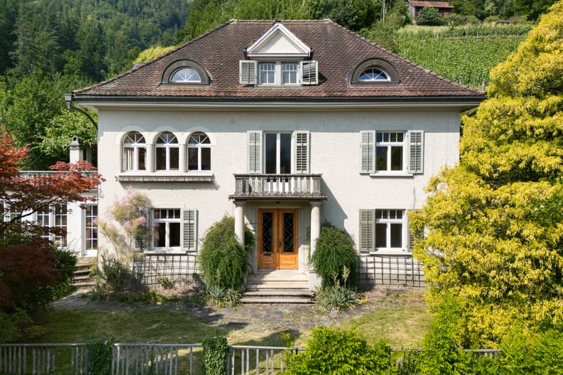 Stadtvilla mit Seeblick & Alpenpanorama an einzigartiger Alleinlage (3)