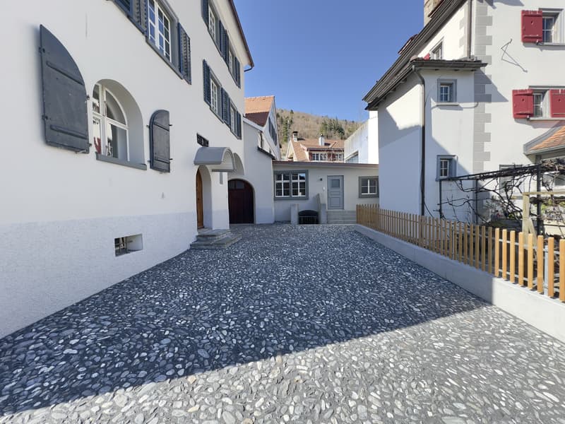 Villa am Kirchweg - kernsaniertes Herrschaftshaus mit 4 neuen Wohnunge (2)