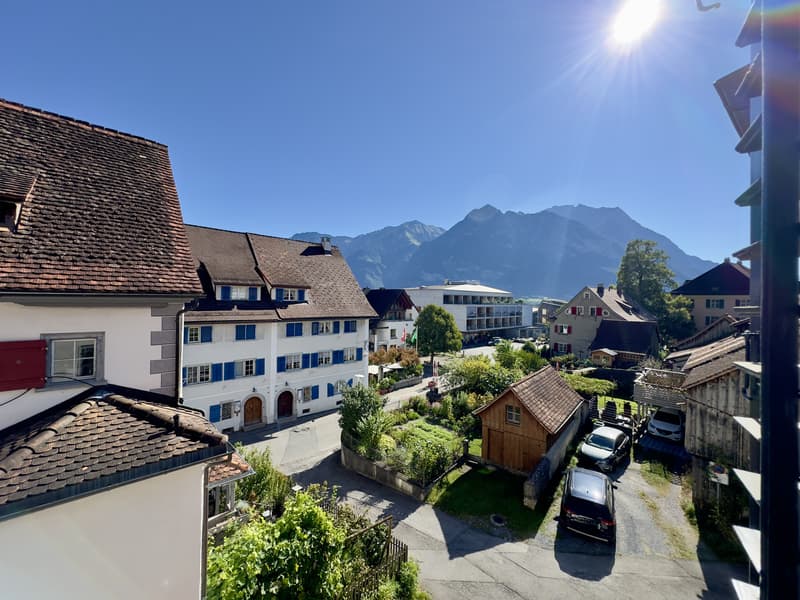 Villa am Kirchweg - kernsaniertes Herrschaftshaus mit 4 neuen Wohnunge (4)