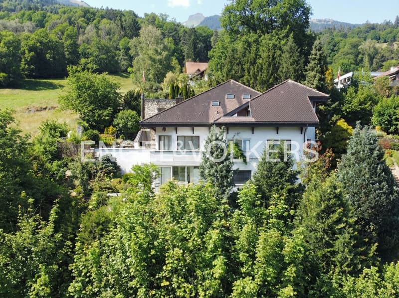 Grosszügiges Einfamilienhaus direkt an der unverbaubaren Grünzone mit (3)