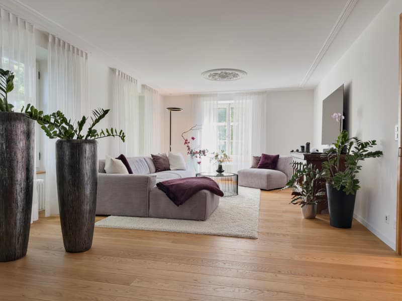 Wunderschöne Toggenburger Stadt-Villa in Ebnat-Kappel (7)