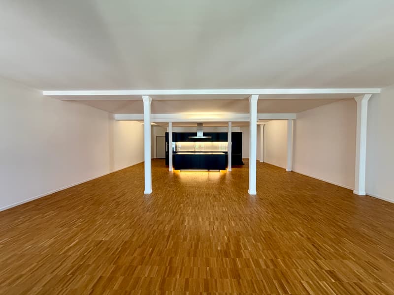 Exklusives Attika-Maisonette-Loft mit See- & Bergpanorama in Murg am W (11)