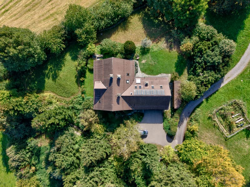 Toggenburger Landhausperle - Einzigartiges Naturparadies mit majestäti (3)