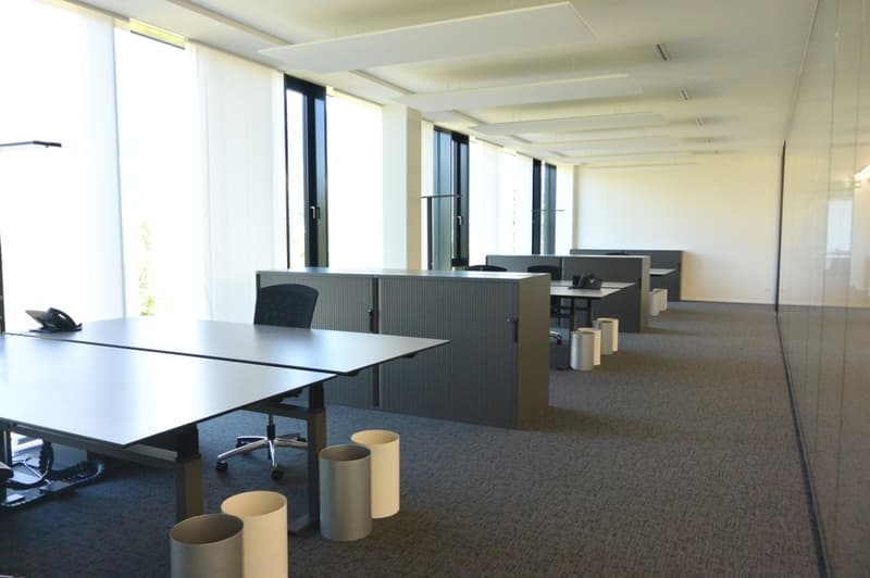 Eine ganze Etage 973 m² im Kokon I (8)